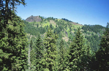 browder ridge wuerthner graphic